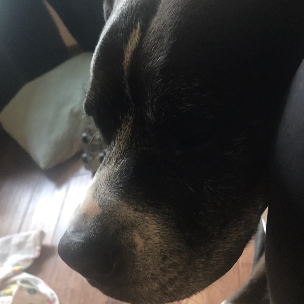 Meet your Posher, Beth